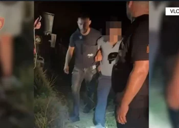 Asgjesohen 320 bimë kanabisi në Vlorë, dy në pranga dhe një në kërkim