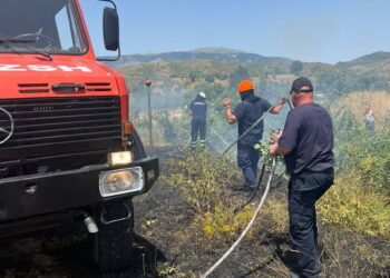 Përfshihet nga flakët një parcelë në Gjirokastër, dyshohet se zjarrvënësi…