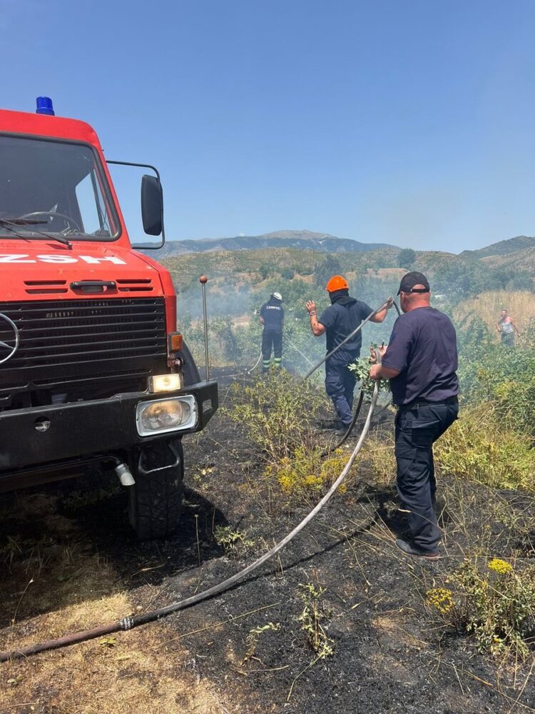 Përfshihet nga flakët një parcelë në Gjirokastër, dyshohet se zjarrvënësi…