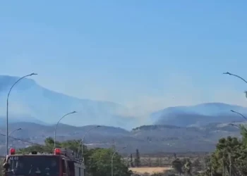 Greqia në alarm të kuq! Parku Kombëtar i Parnithas në Athinë përfshihet nga flakët