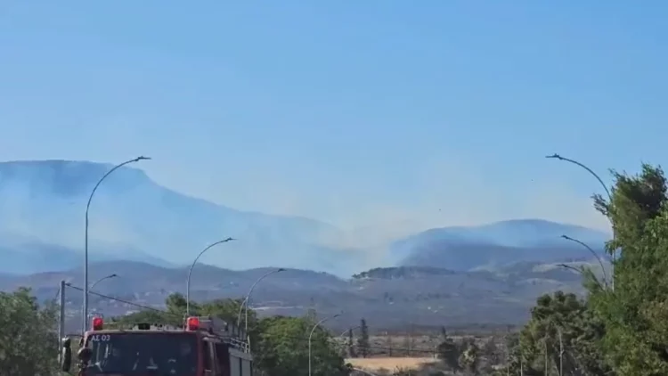 Greqia në alarm të kuq! Parku Kombëtar i Parnithas në Athinë përfshihet nga flakët