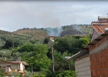 Digjen nga zjarri 5 ha ullishte e shkurre në Lushnjë