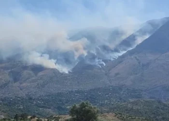 Zjarr masiv në Malin e Gjerë në Gjirokastër, rrezikohet Mashkullora