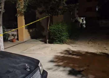 Detaje nga vrasja në Fier/ Ish-burri konfliktohej me nënën e tre fëmijëve, para krimit…