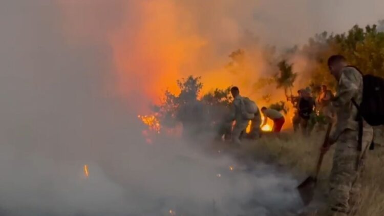 Zjarre në pyjet e Tropojës, forcat e ushtrisë po përpiqen për të shuar flakët