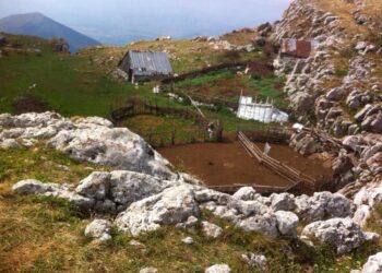 Vranë bariun 17 vjet më parë, dënohen me nga 18 vite burg dy autorët