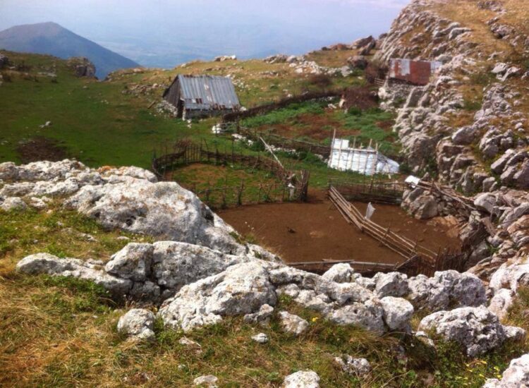 Vranë bariun 17 vjet më parë, dënohen me nga 18 vite burg dy autorët