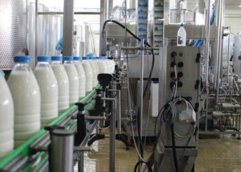 Qumësht e mish vendi me “pikatore”, si do mbulohet kërkesa e shtuar e turizmit?