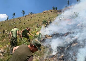 Klos/ Zjarr në pyllin e fshatit Kurdari, ndërhyn helikopteri për shuarjen e flakëve