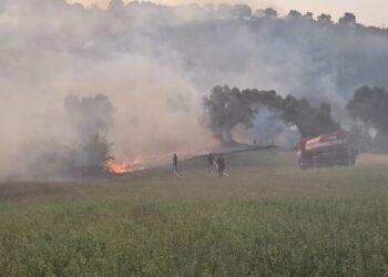 Kavajë/ Zjarr në një sipërfaqe me pemë, evakuohen banorët, po ndërhyhet edhe nga ajri