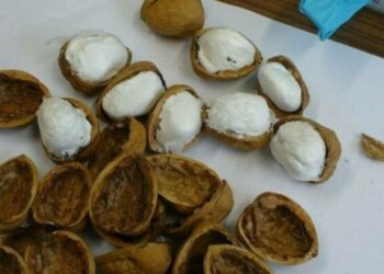 Kokainen “e mbeshtollen” me lëvozhga arrash e kikirikësh’, arrestohen shqiptarët me drogë në vlerë 83 mijë euro