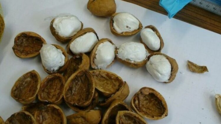 Kokainen “e mbeshtollen” me lëvozhga arrash e kikirikësh’, arrestohen shqiptarët me drogë në vlerë 83 mijë euro