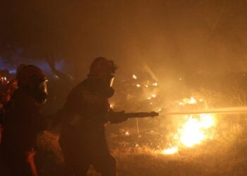 Shuhet zjarri në Shëngjin/ Mbrojtja Civile: Në 4 ditë u angazhuan 308 efektivë