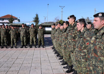 Këshilli i BE-së miraton 13 mln euro ndihmë për Forcat e Armatosura të Shqipërisë