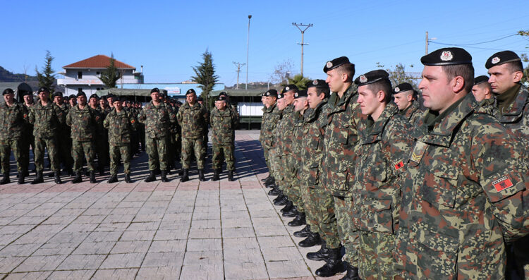 Këshilli i BE-së miraton 13 mln euro ndihmë për Forcat e Armatosura të Shqipërisë