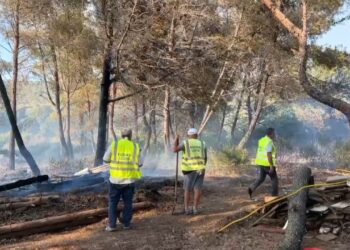 Aktivizohet përsëri zjarri në Shëngjin, një banesë u rrezikua të digjet