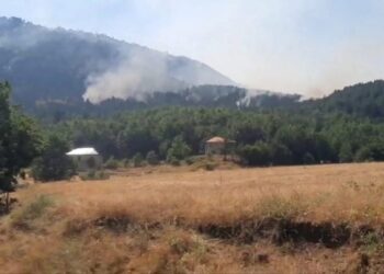 Vatra të fuqishme zjarri në Lurë, pritet ndërhyrje nga ajri