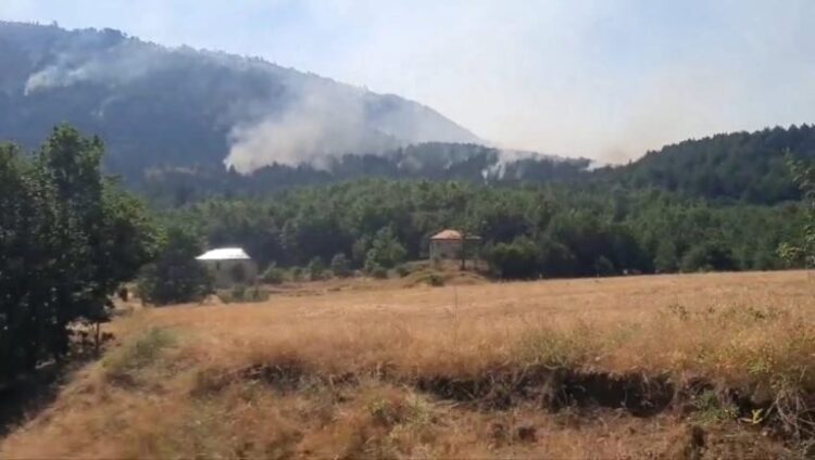 Vatra të fuqishme zjarri në Lurë, pritet ndërhyrje nga ajri