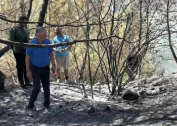 Zjarri në Shëngjin, Gjekmarkaj: Vura alarmin, por shkoi në vesh të shurdhër