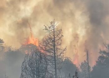 Del jashtë kontrollit zjarri në Maliq, kërkohet ndihmë nga ajri