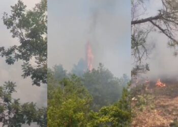 Shpërthejnë zjarret në Maliq, kërkohet ndihma e ushtrisë