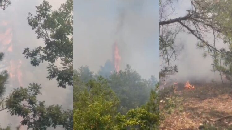 Shpërthejnë zjarret në Maliq, kërkohet ndihma e ushtrisë