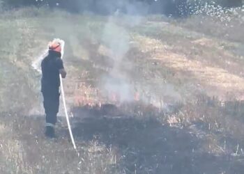 Tjetër zjarr në Gjirokastër, shkrumbohet ara me grurë