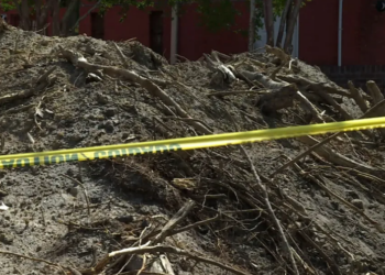 Prerja e pemëve në kishën e vjetër nxjerr në dritë objekte shekullore