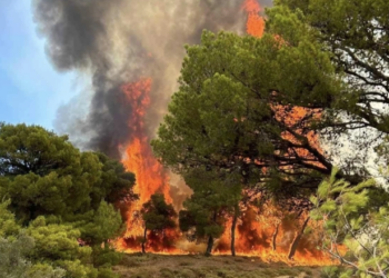 Vatra të reja zjarri në Greqi, kërkohet të evakuohen banorët