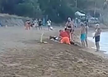 E pickuan grerëzat në plazh, humb jetën pushuesi 47-vjeçar