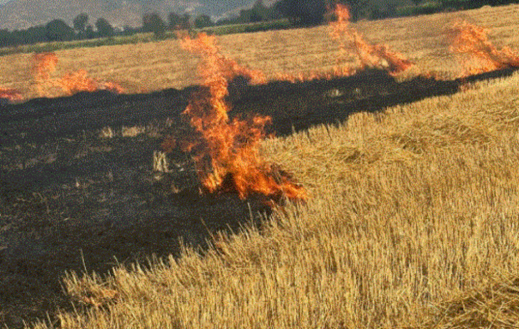 Maliq, përfshihet nga flakët sipërfaqja 4 hektarë me kashtë