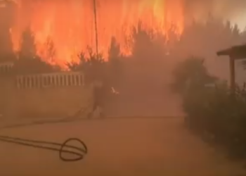 Zjarri në Shëngjin, kreu i zjarrfikësve: Kishim shumë raste kur na u vu jeta në rrezik