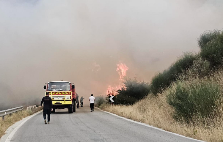 Zjarri në Dropull dhe Finiq, përkeqësohet situata/ Peleshi apel banorëve: Bashkëpunoni me forcat në terren në rast nevoje