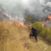 Zjarri në Gjirokastër ende aktiv, flakët djegin bimësinë gjatë natës