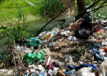 Gjenden 6 trupa të pajetë në një vendgrumbullim mbeturinash