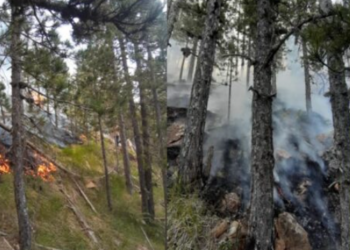 Ende aktiv zjarri në Lurë, digjen 50 hektarë kullota dhe pyje