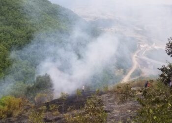 Zjarr i qëllimshëm në fshatin Kriçkovë të Pogradecit, digjet një sipërfaqe me shkurre dhe barishte