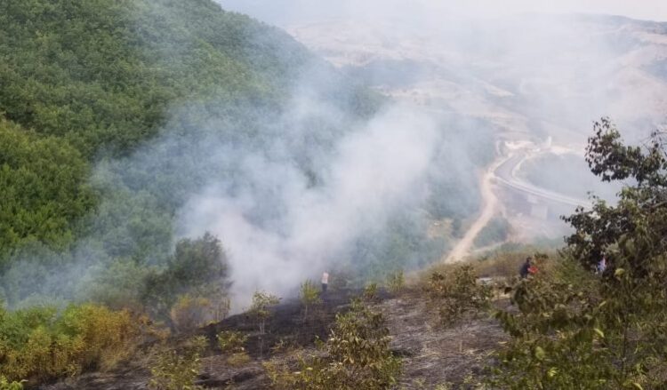 Zjarr i qëllimshëm në fshatin Kriçkovë të Pogradecit, digjet një sipërfaqe me shkurre dhe barishte