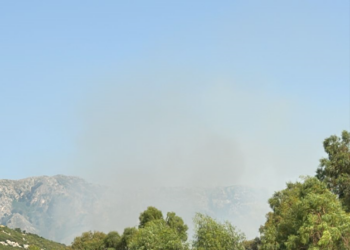 Zjarr në kodrat e Radhimës, zona mbulohet nga tymi- Video