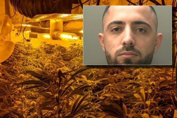 Dënohet 26-vjeçari shqiptar që u kap në një “fermë” në Britani: Rashë në grackën e borxheve