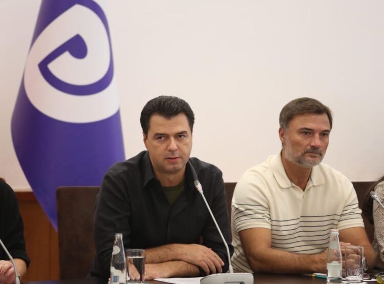 Zbardhet vendimi i Gjykatës së Apelit për vulën e PD! Gafa juridike e Lulzim Bashës dhe Enkelejd Alibeajt