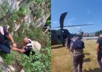 Zbulohet parcela me kanabis në Vaun e Dejës, asnjë i arrestuar