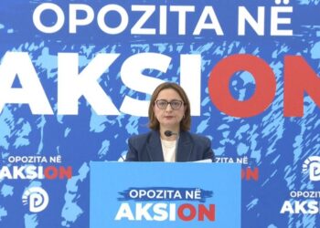 PD: Raporti i departamentit të shtetit amerikan damkosi qeverisjen e Ramës