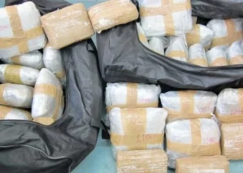 “Çokollatë”, “mushkë”, “tym”, fletorja me kodet për drogën që ra në duart e SPAK