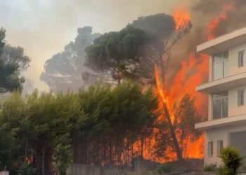 (VIDEO) Evakuohen të gjithë banorët dhe pushuesit, zjarri djeg 2 bare në plazh