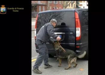 Me 8 kg kokainë të fshehura në makinë, arrestohet shqiptari në Itali