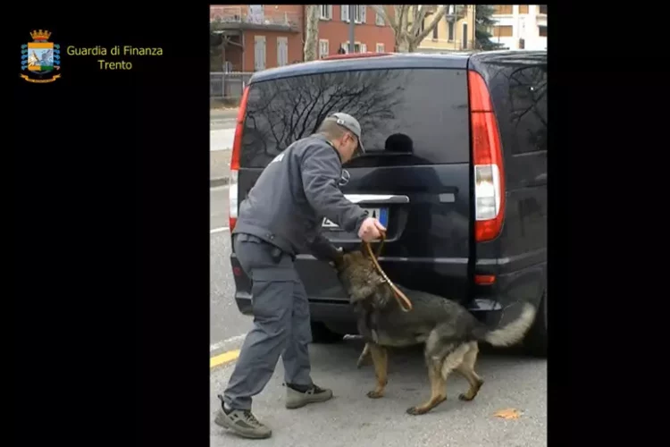 Me 8 kg kokainë të fshehura në makinë, arrestohet shqiptari në Itali