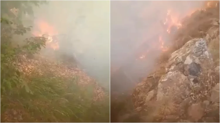 Aktiv dhe zjarri në Elbasan, terreni i vështirë favorizon flakët