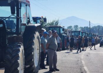 Mungesa e tregut sjell protesta nga fermerët në Maliq, protestuesit bllokojnë rrugën