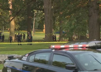 Të shtëna me armë në New York, vriten dy gra/ Publikohen momentet horror, njerëzit ulërijnë dhe vrapojnë të tmerruar